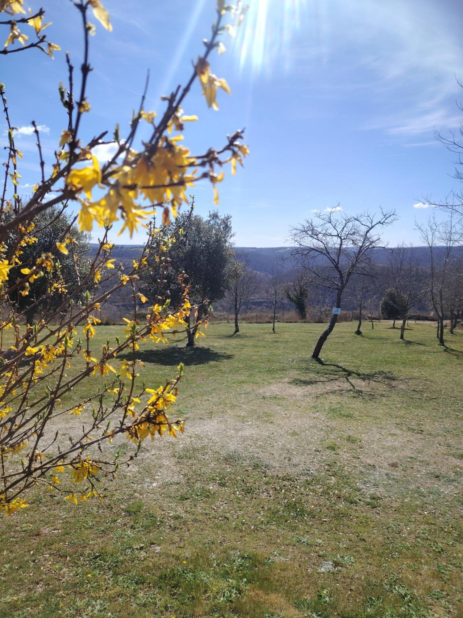 Gites Des Deux Vallees La Borieta Du Causse - Rocamadour Eksteriør billede
