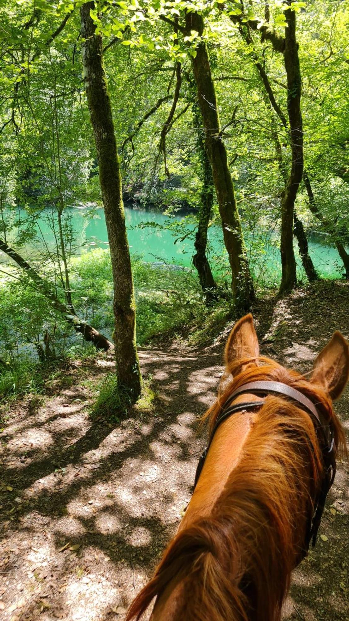 Gites Des Deux Vallees La Borieta Du Causse - Rocamadour Eksteriør billede